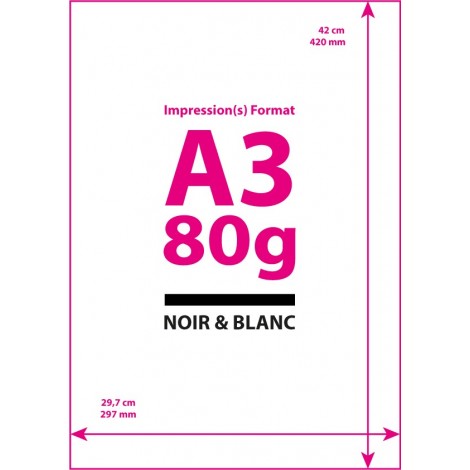 Impression Noir&Blanc Format A3 (Papier Classique)